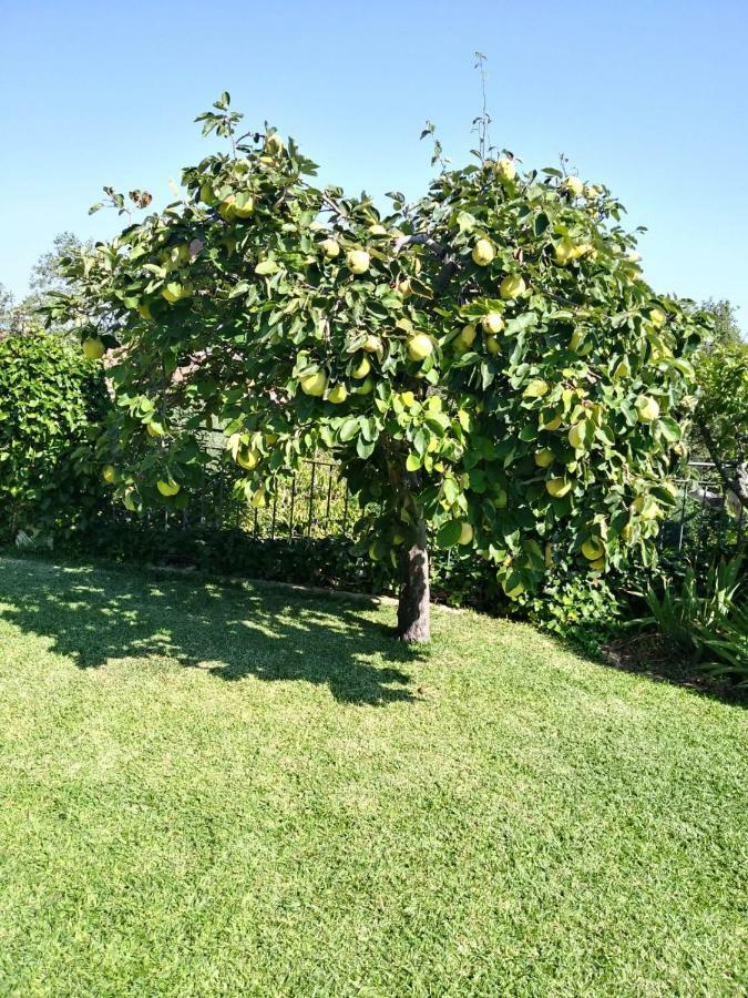 منزل الضيف Caces  في Jardin De La Yedra المظهر الخارجي الصورة