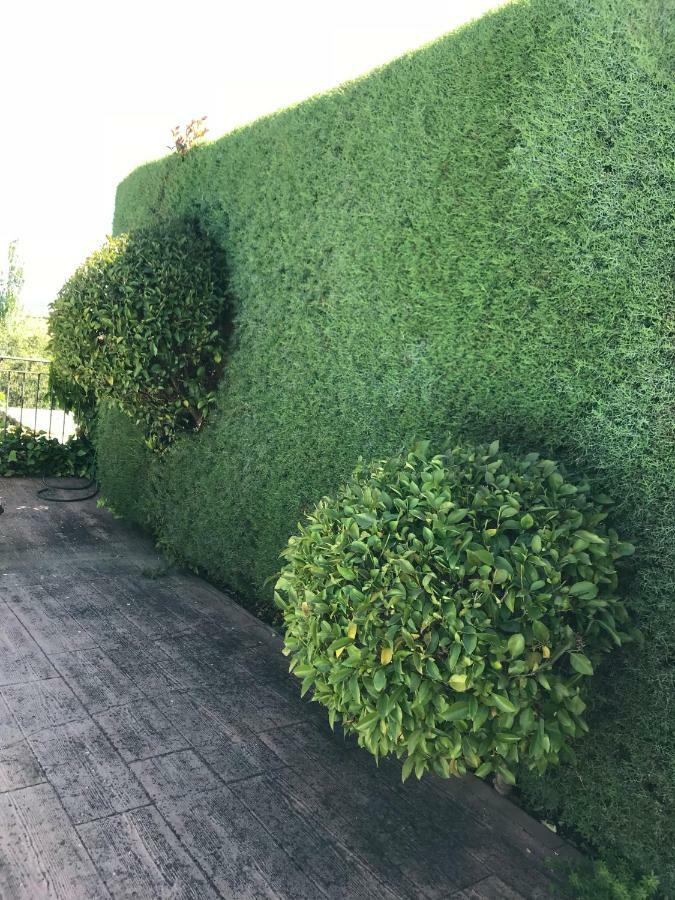 منزل الضيف Caces  في Jardin De La Yedra المظهر الخارجي الصورة