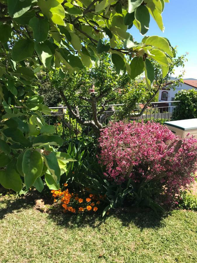 منزل الضيف Caces  في Jardin De La Yedra المظهر الخارجي الصورة